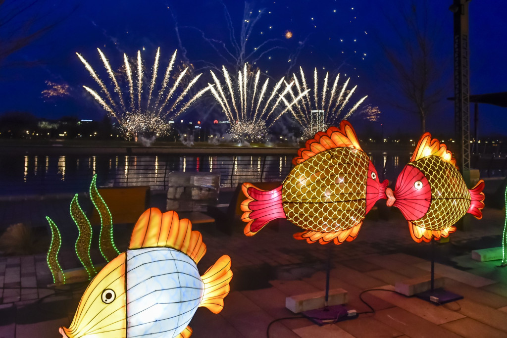 The Fifth Chinese Lantern Festival