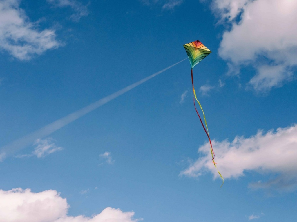 Kite show