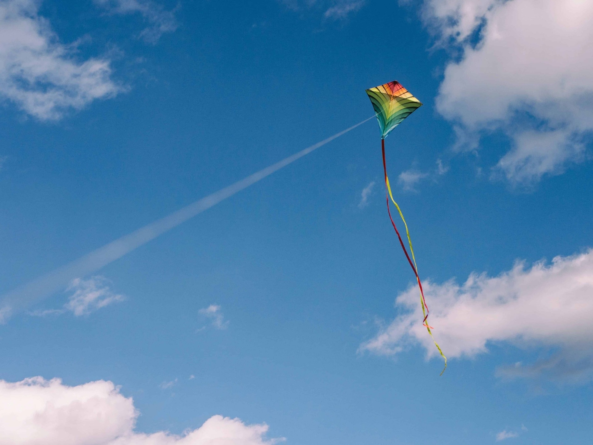 Kite show